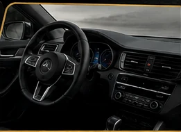 Professional vehicle interior cleaning